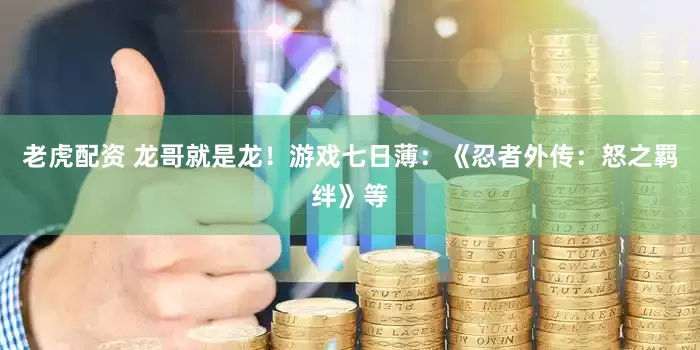 老虎配资 龙哥就是龙！游戏七日薄：《忍者外传：怒之羁绊》等
