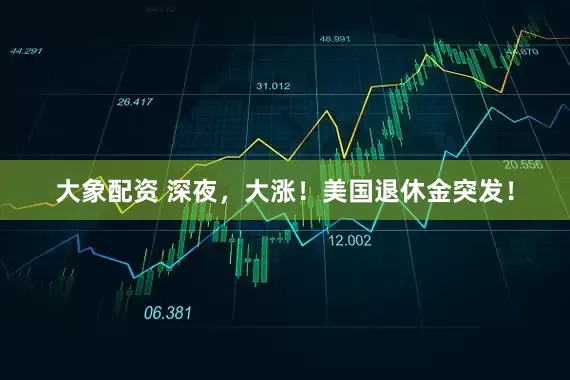 大象配资 深夜，大涨！美国退休金突发！