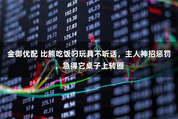 金御优配 比熊吃饭叼玩具不听话，主人神招惩罚，急得它桌子上转圈